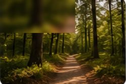 Wooded hiking trail